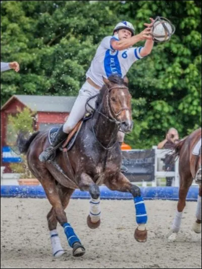 Quelle est cette discipline ?