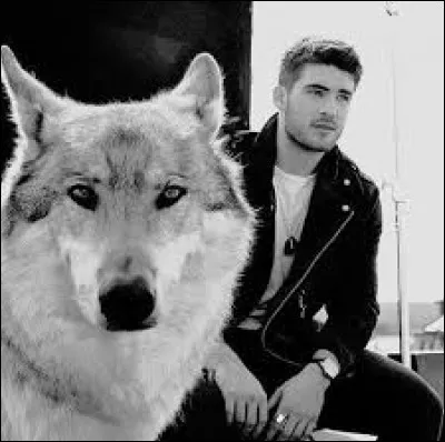 Quelle créature surnaturelle est Theo ?