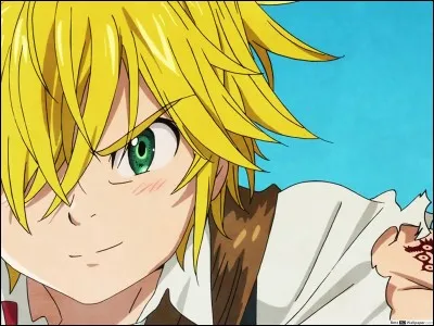 Quels sont les frères de Méliodas ?