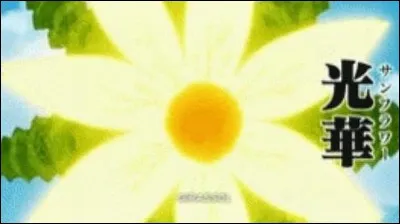 Quel est le numéro de la forme "Tournesol" du trésor sacré de King ?