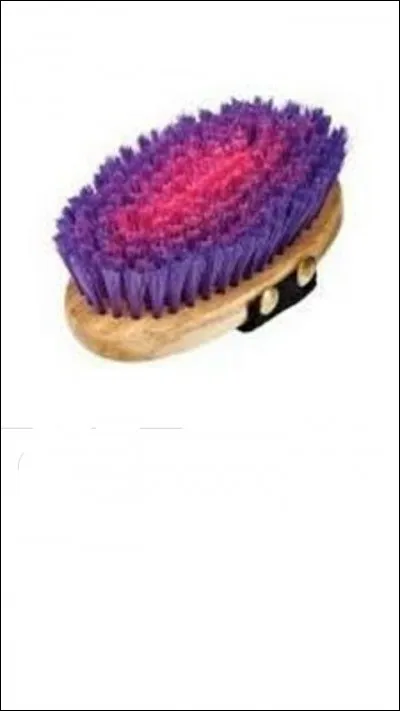 Comment s'appelle cette brosse ?