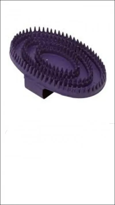 Comment s'appelle cette brosse ?