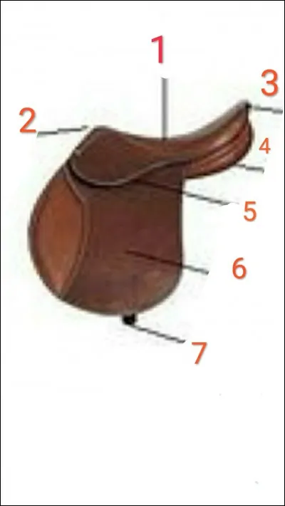 Comment s'appelle le numéro 1 ?