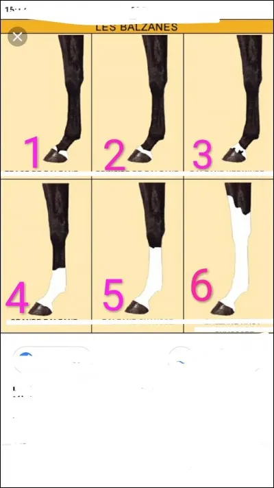 Comment s'appelle le numéro 2 ?