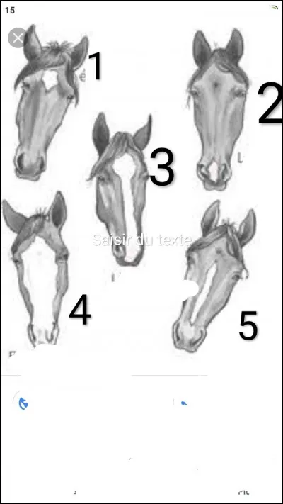 Comment s'appelle le numéro 5 ?