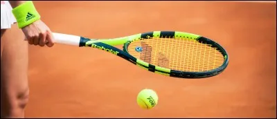 Qui a été la première championne de tennis à poser pour le magazine Vogue ?