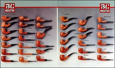 Invitée par Anne-Sophie Lapix sur Canal +, elle nous parle d'une "fellation quasi nulle" !