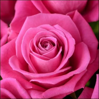 Quel est le nom de cette couleur en anglais ?