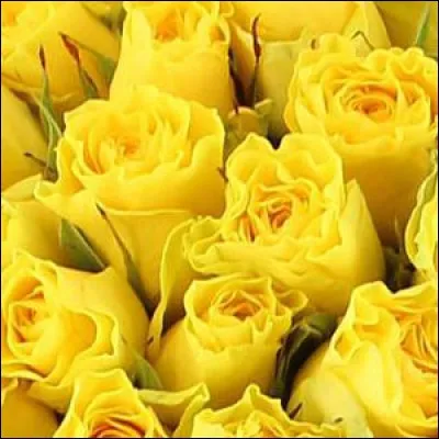 Quel est le nom de cette couleur en anglais ?