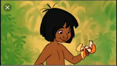 Je suis un petit homme. Mes parents m'ont abandonné et maintenant je vis avec Baloo et Bagheera. Qui suis-je ?