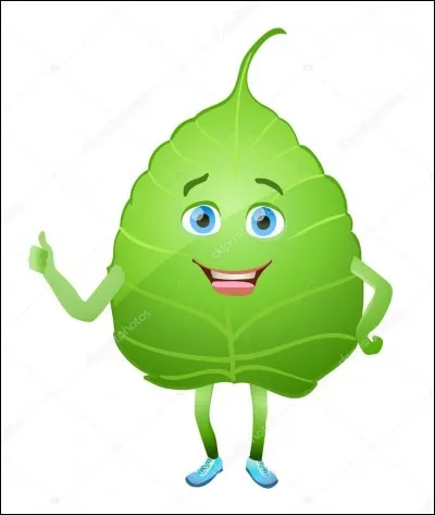 Laquelle de ces propositions va vous porter chance ?