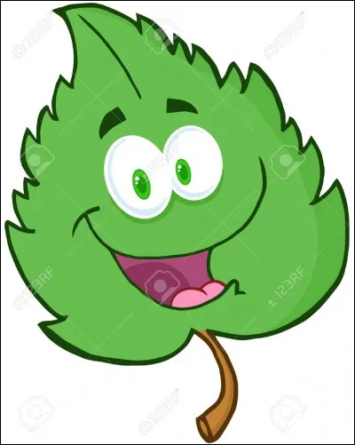 Pensez à mon petit pourboire ! Il est temps d'ouvrir vos...