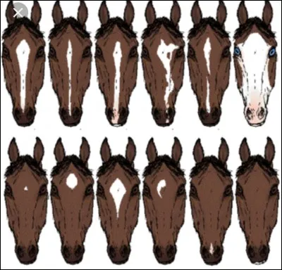 Comment appelle-t-on la marque montrée sur la deuxième image de la dernière colonne ?