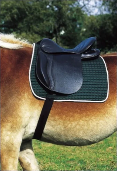 Comment appelle-t-on ce qui se trouve sous la selle ?