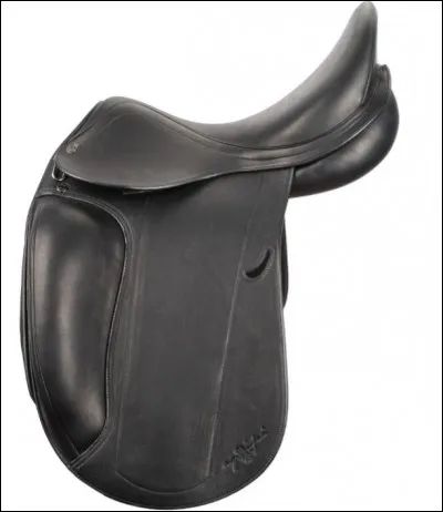 Comment se nomme cette selle ?