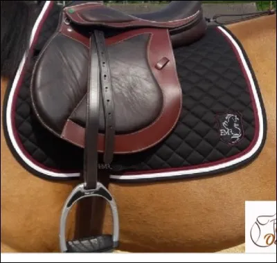 Comment appelle-t-on cette selle ?