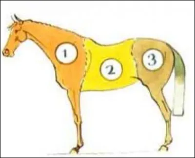 Comment se nomme la première partie ?