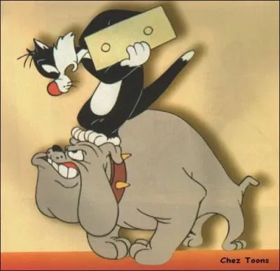 (Titi et Grosminet mnent l'enqute) Comment s'appelle le chien de Mm ?