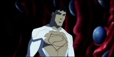 Ce personnage se nomme Patch.