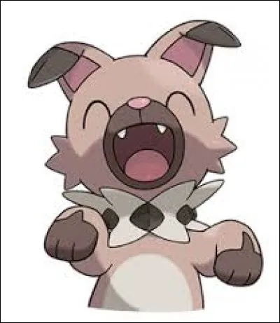 Combien Rocabot possède-t-il d'évolutions ?