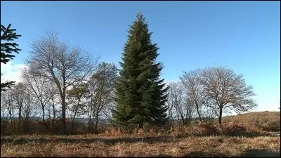 Eh M'sieur Pierre, y a un monsieur très mal poli qu'a téléphoné, y voulait enculer Thérèse - Oui mais c'est un ami - Ah ben ça va alors !