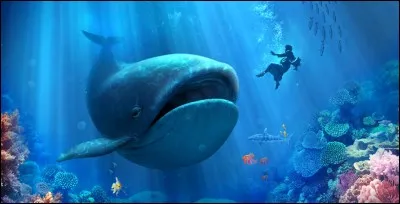 J'ai été avalé par une baleine puis vomi sur la plage après 3 jours et 3 nuits. (Matthieu 12 : 40)