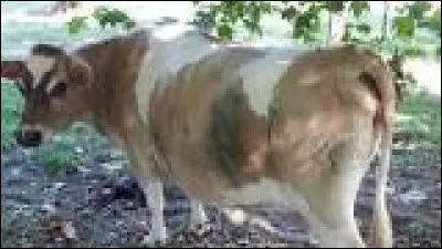 On s'en délecte mais on n'y croit pas, c'est le...