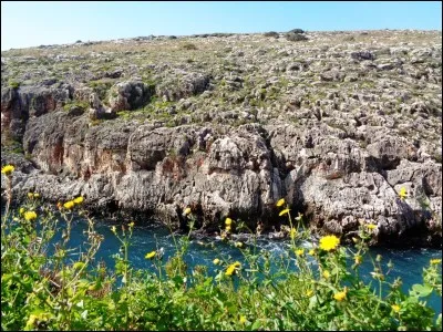L'archipel maltais compte trois îles principales. Laquelle n'en fait pas partie ?