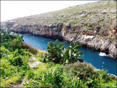 À Malte, que sont les pastizzi ?