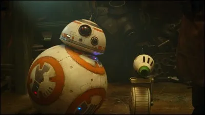Comment s'appelle le nouveau droïde, compagnon de BB-8 ?