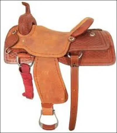 Quelles sont les parties de la selle ?