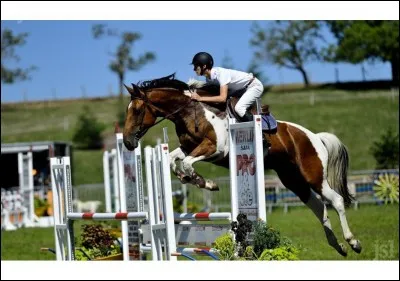 Quelle est ta position lorsque tu sautes un obstacle ?