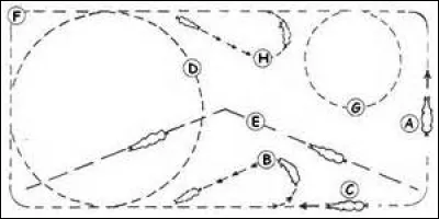 Quelles sont les figures de manège qui existent ?