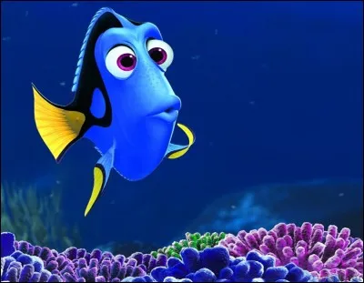 Quelle est la couleur ordinaire de Hank dans "Le Monde de Dory" ?
