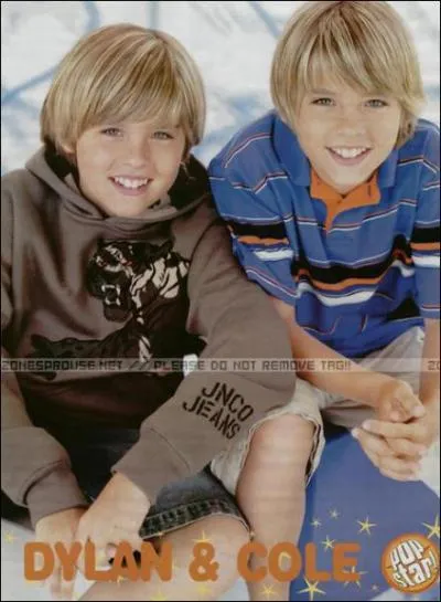 La vie de palace de Zack et Cody : quel ge ont les jumeaux ?