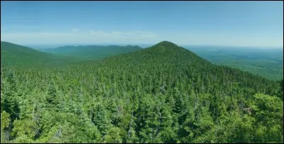 Sur combien de pays la for&ecirc;t amazonienne s'&eacute;tend-elle ?