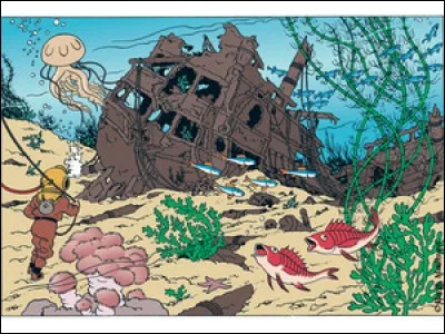 Quel est le titre de cet album ?