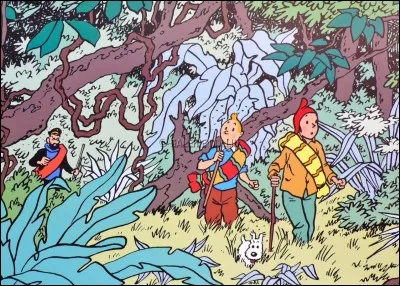 Quel est le titre de cet album ?