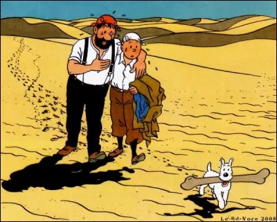 Quel est le titre de cet album ?