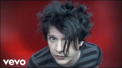 Pourquoi le frère jumeau de Nicola Sirkis n'est-il plus dans le groupe ?