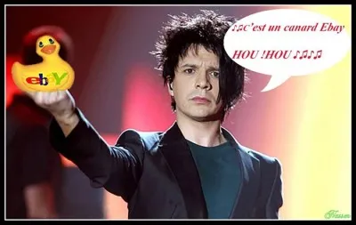 Quel âge a Nicola Sirkis ?