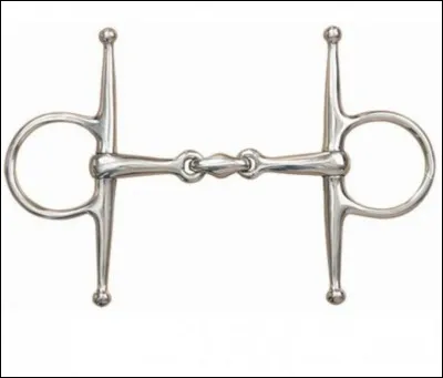 Comment s'appelle ce mors ?