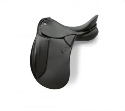 Comment appelle-t-on cette selle ?