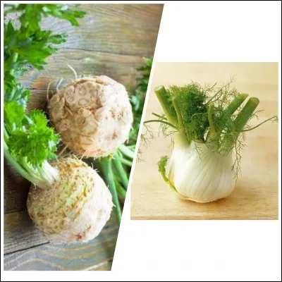 Quelle verdure est pauvre en calcium ?