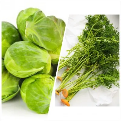 Quelle verdure est riche en calcium ?