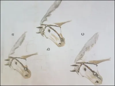 Lequel de ces filets est bien ajusté ?