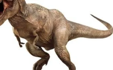 Quiz Dinosaures