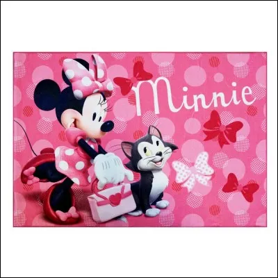 Quel le nom de famille de Minnie ?