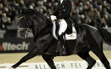 Quiz Galop 1
