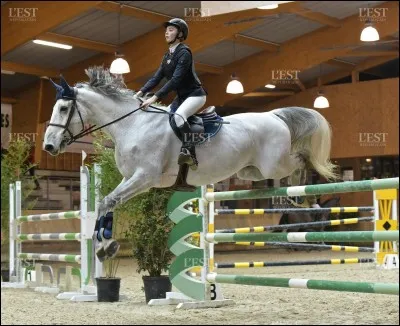 Quel est le nom de cette discipline ?